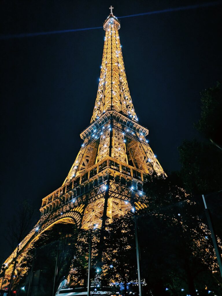 Gallery Thumbnail 5